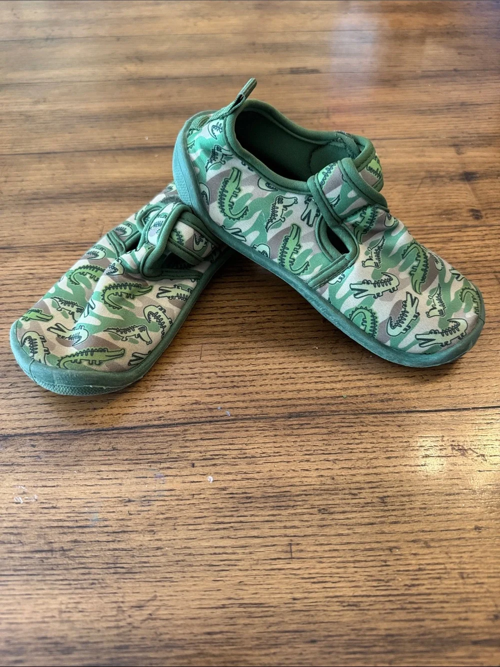 ☀️3 for $10☀️ Dinosaur Water Shoes